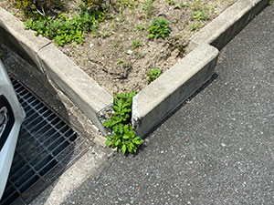 地先ブロック修復 before